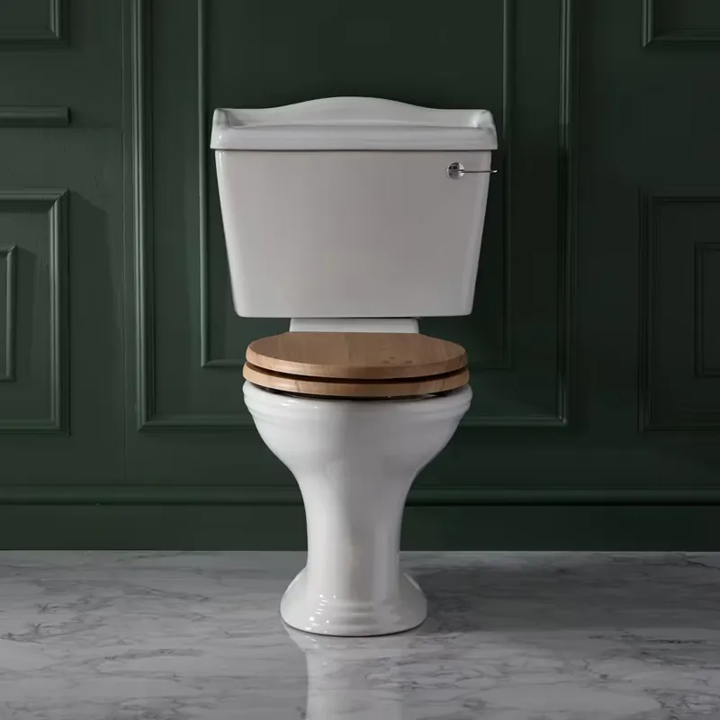Sanitario Tradizionale Bianco con Cassetta di Scarico e Sedile Color Rovere - Ryther Ultima Occasione