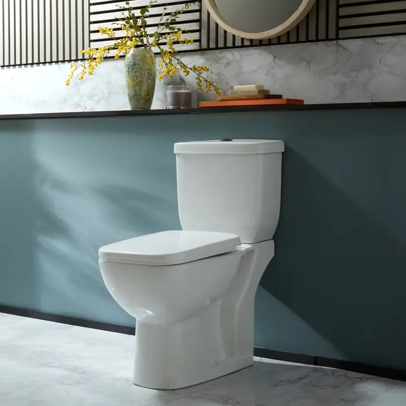 Affare Sanitario WC Monoblocco Moderno con Sedile a Chiusura Ammortizzata e Pulsante di Scarico Nero - Hatton