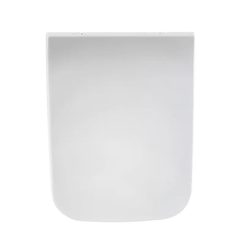 Sedile per WC a Filo Parete con Chiusura Soft Close e Fissaggio Superiore - Bianco - Sandford Prezzo Ridotto