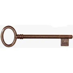 Chiave UTENSIL LEGNO modello FC992 cifratura 05 per porta interna in ferro ruggine Compra Adesso
