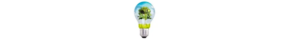 Lampadine Prezzo Basso