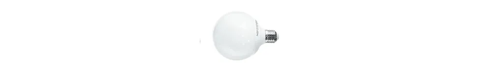Lampadine GLOBO Offerta Limitata