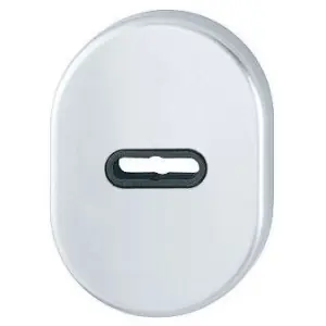 Bocchetta HOPPE modello 830S sicurezza ovale DB per portoncino con foro doppia mappa in alluminio argento Economico