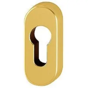 Bestseller Bocchette HOPPE modello 30PS ovale per porta interna con foro yale in alluminio oro