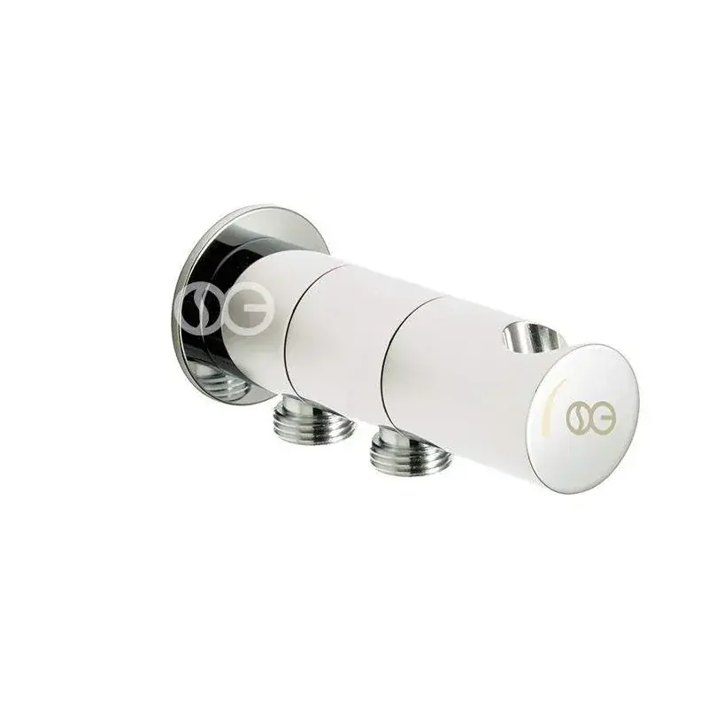 Spedizione Espresso Presa acqua a parete due vie in ottone cromato SG315R
