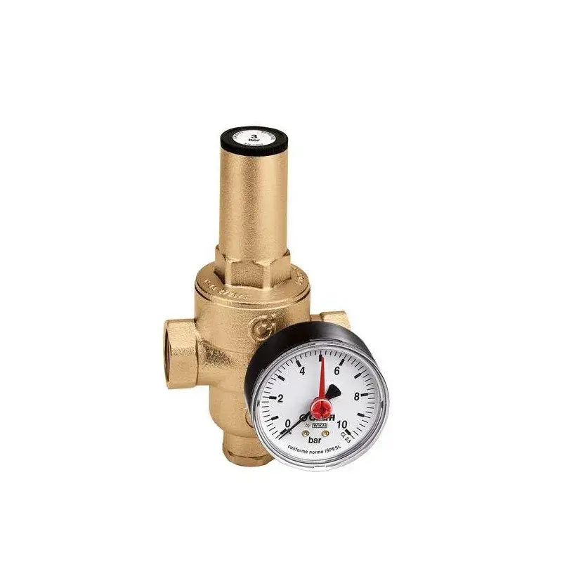 Di Tendenza Riduttore di pressione con cartuccia estraibile Caleffi 5362