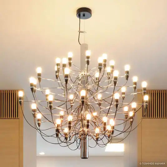 Miglior Prezzo FLOS 2097/30 Lampadario a 30 luci cromato satinato