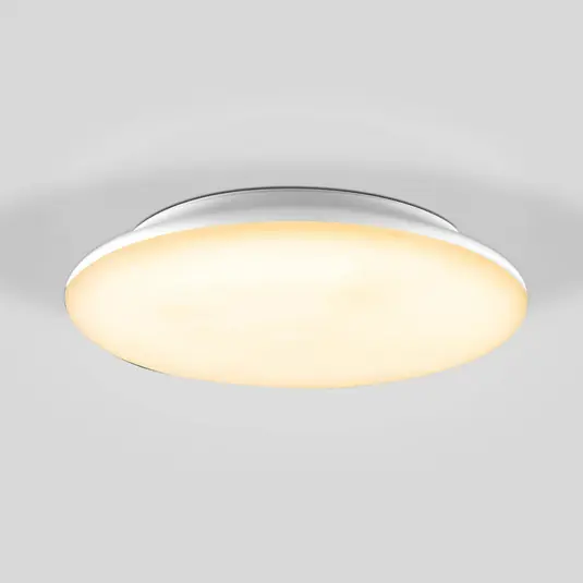 Occasione Imperdibile EVN Catino Plafoniera LED, CCT, 30 cm