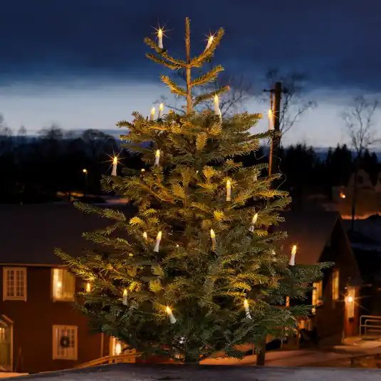 Catena luminosa da esterni con 45 lampadine LED A Buon Prezzo