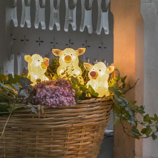 Figura luminosa a LED a forma di maiale, set di 5 come catena, trasparente Promozione Esclusiva