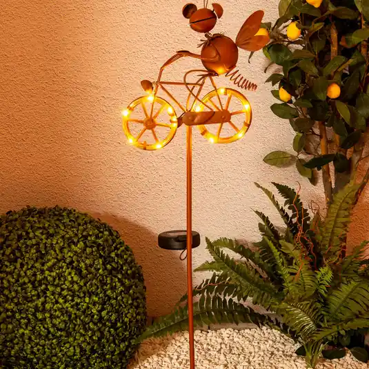 Direttamente Dal Produttore Lampada LED solare 5282414 con bicicletta