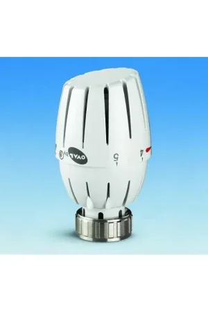Cabeza termostatica OVAL Pettinaroli 107L Compra Adesso