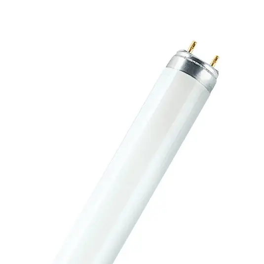Tubo fluorescente OSRAM LUMILUX, G13 T8, 120 cm 2.700 K 36 W Spedizione Espresso