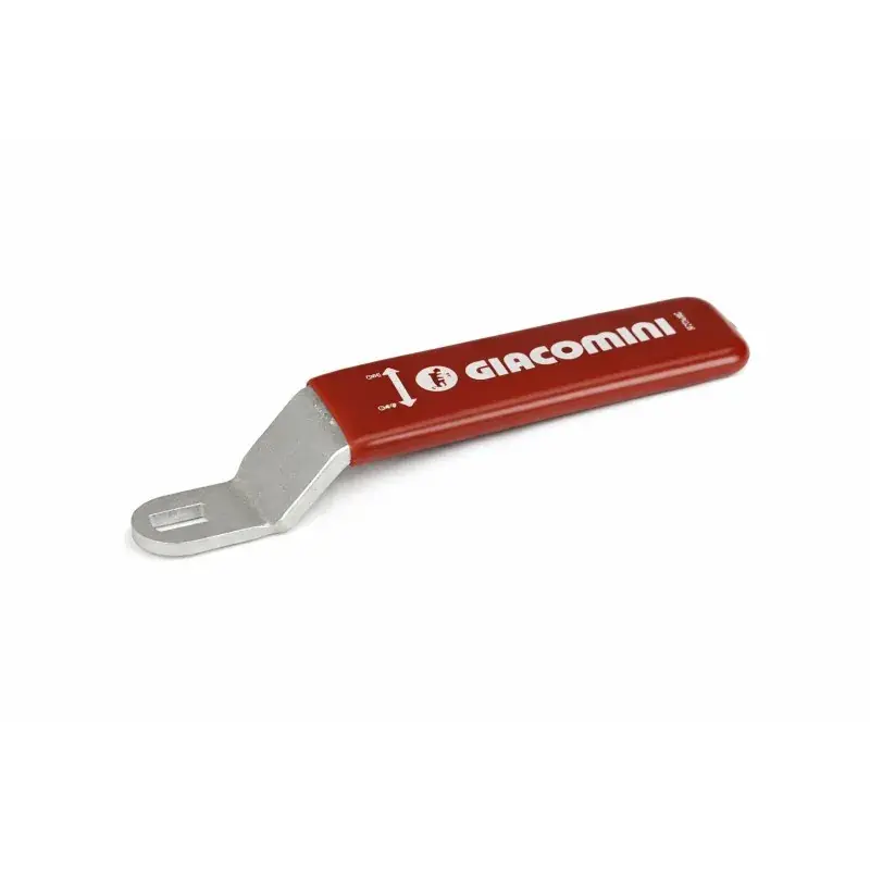 Compra Adesso Palanca en acero para válvula de esfera con revestimiento en plástico rojo Giacomini P31LRY