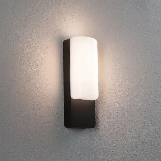 Paulmann applique da esterno a LED Bonnie, alluminio, antracite Consegna Rapida