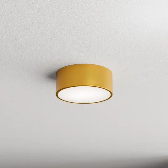 Plafoniera Cleo, Ø 20 cm, IP54, color oro, metallo, E27 Ordina Subito