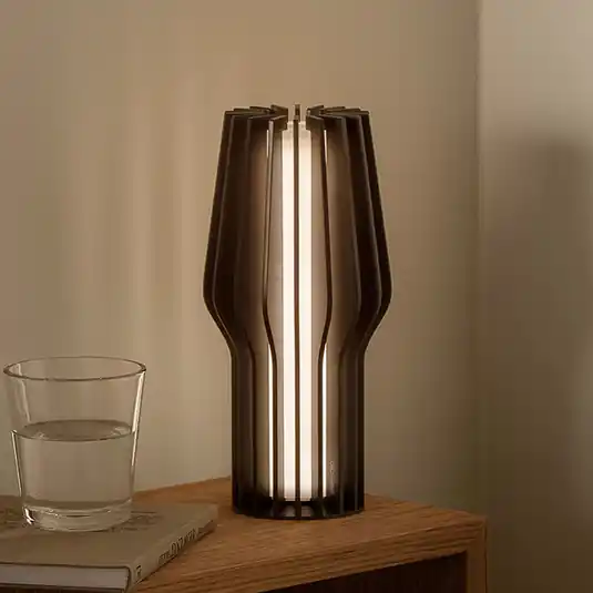 Super Prezzo PLEASE WAIT to be SEATED Lampada a batteria RADIANT nera IP44